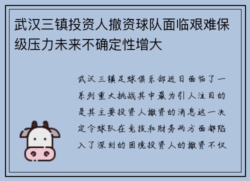 武汉三镇投资人撤资球队面临艰难保级压力未来不确定性增大